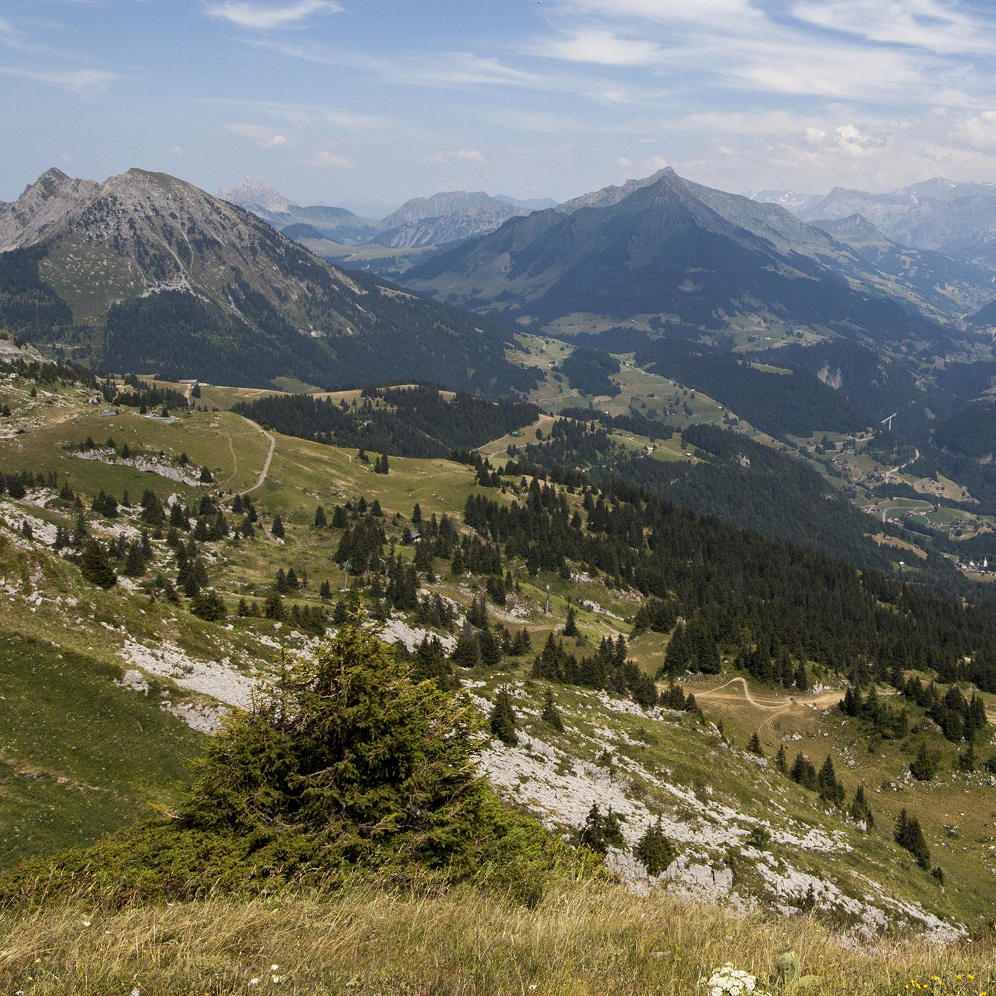 switzerland-sprachaufenthalt-Leysin
