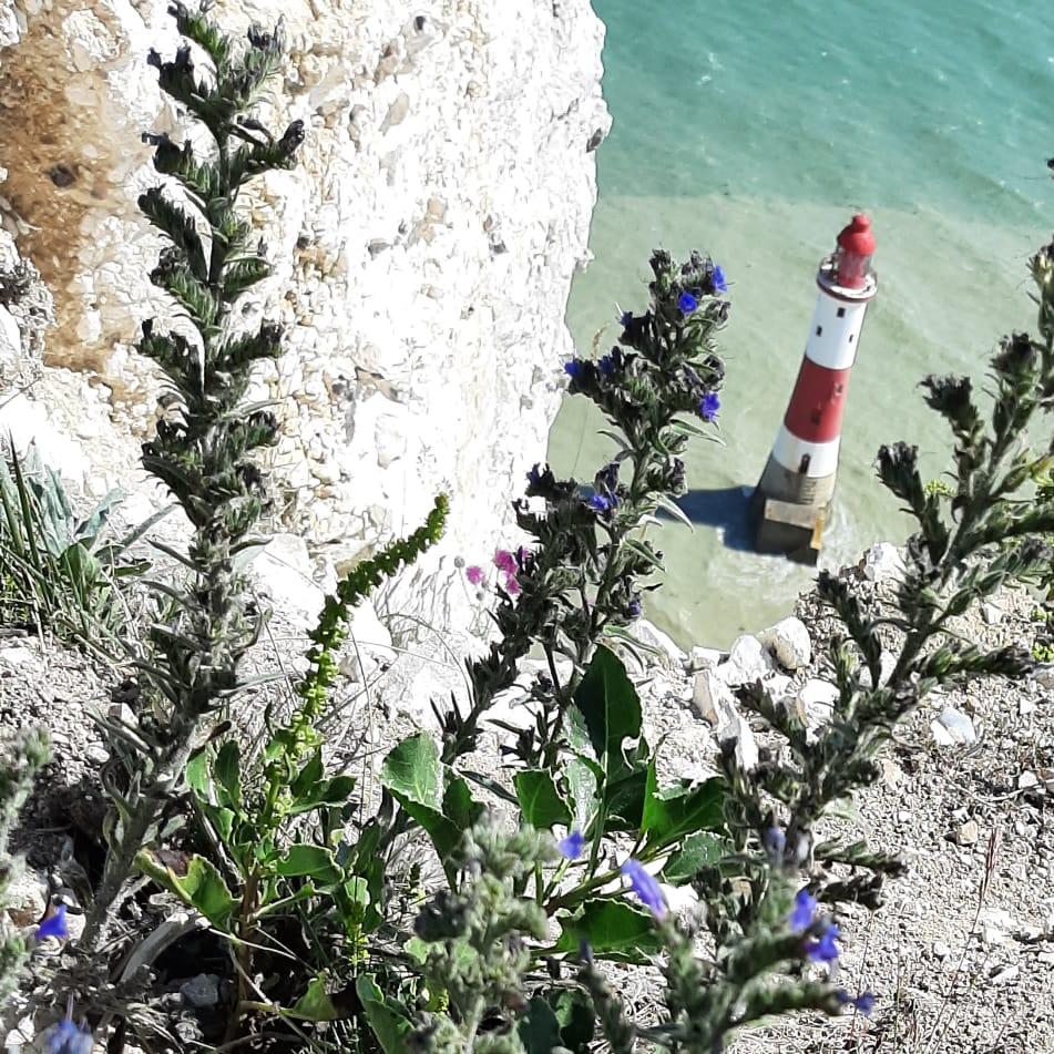 Eastbourne