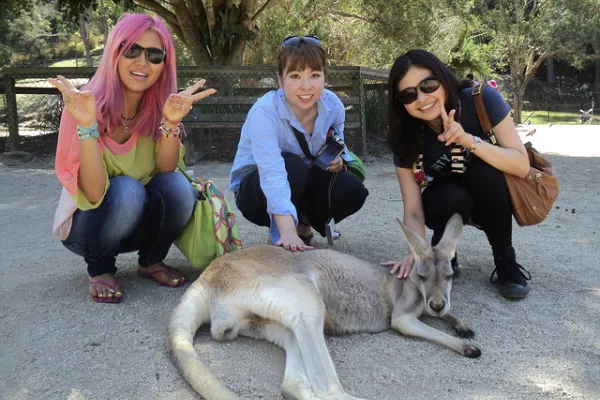 Inforum Education Gold Coast Aktivitäten