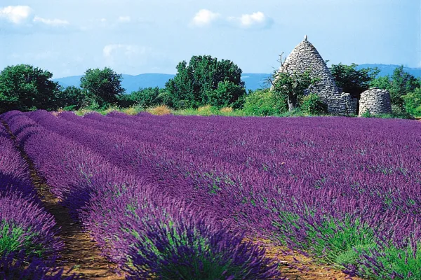 Provence