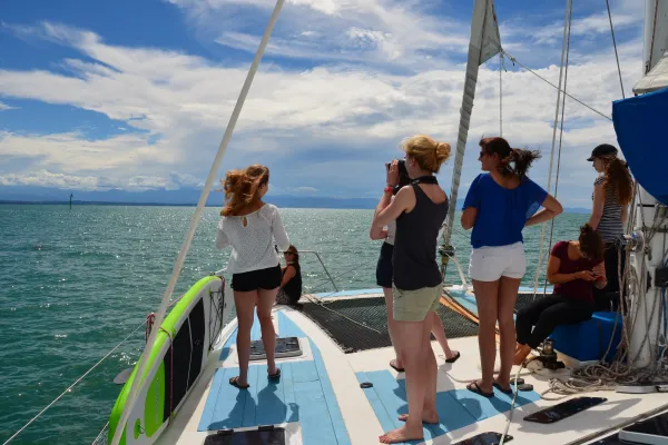 NEC Nelson Aktivitäten