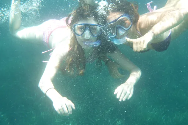 Españolé Valencia Aktivitäten