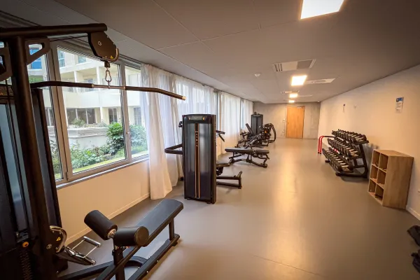 Newdeal Institut Bordeaux